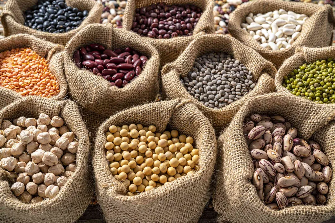 What is the healthiest bean you can eat?