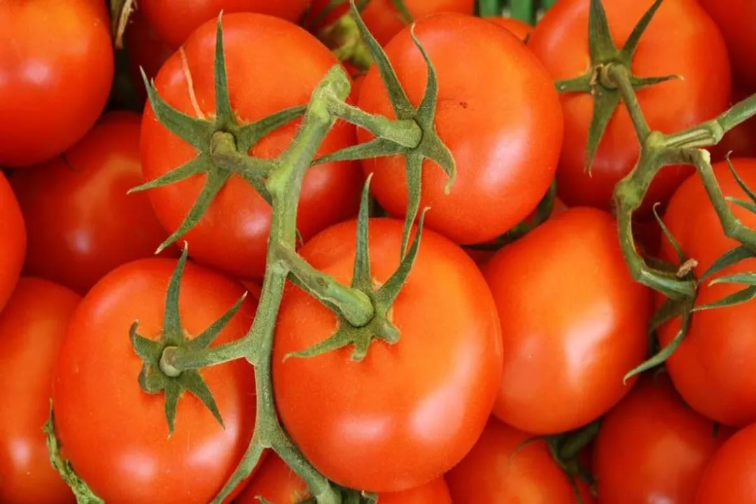 What organ does tomatoes help with?