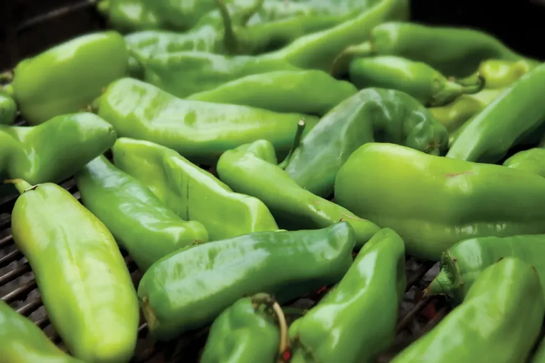 Which chillies are the most healthy?