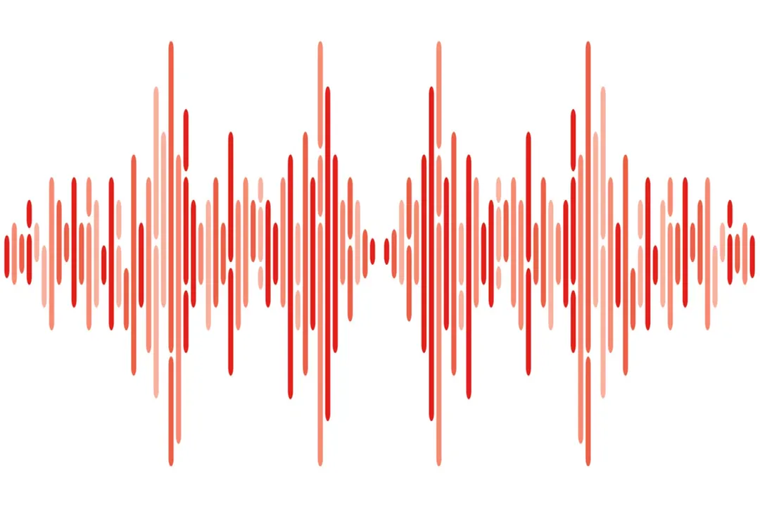 Which is healthier, navy beans or northern beans?, Appearance and Texture