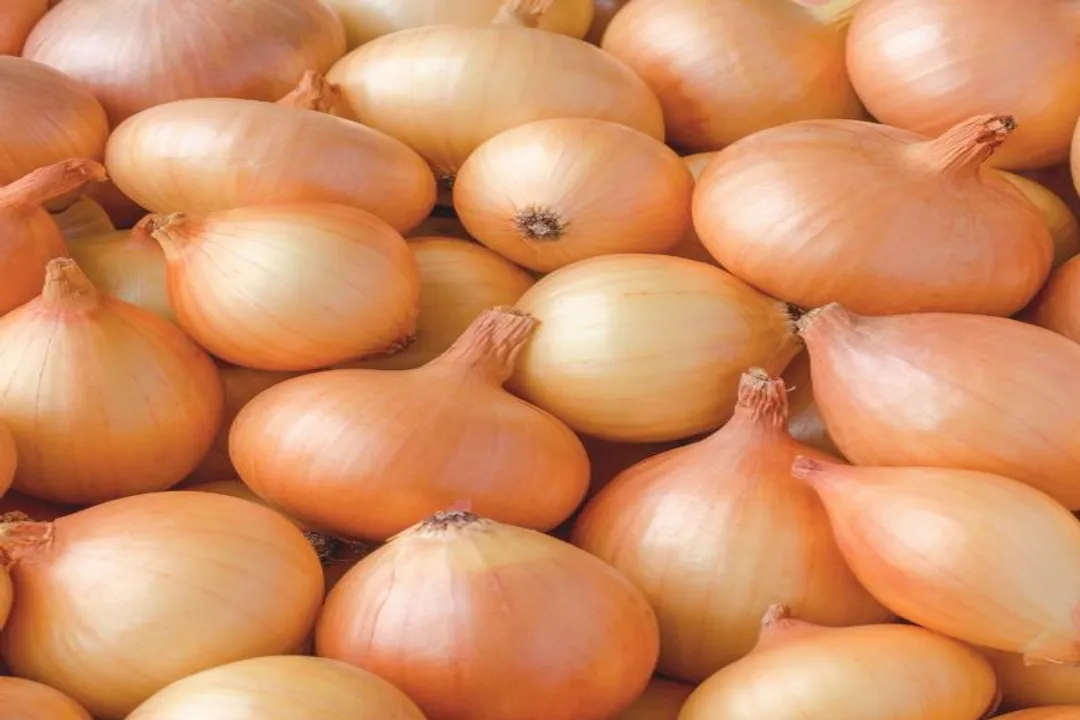 Which onion has the most health benefits?, Health Compounds