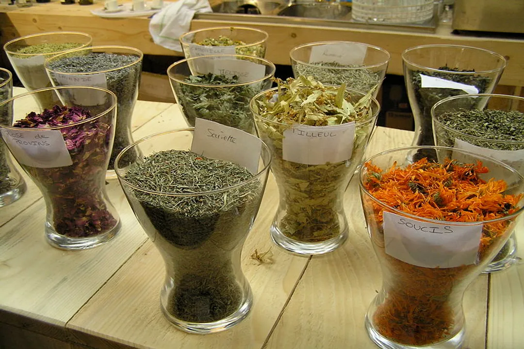 Who should not drink herbal tea?, Pregnant Women