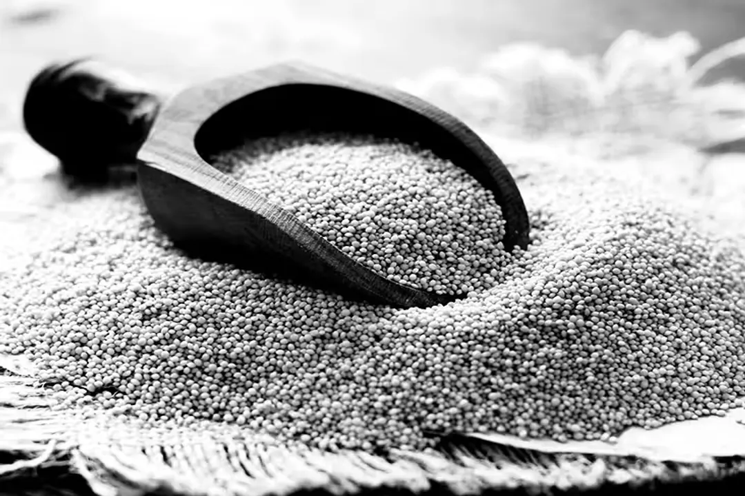 Who should not eat amaranth?, Preparation First