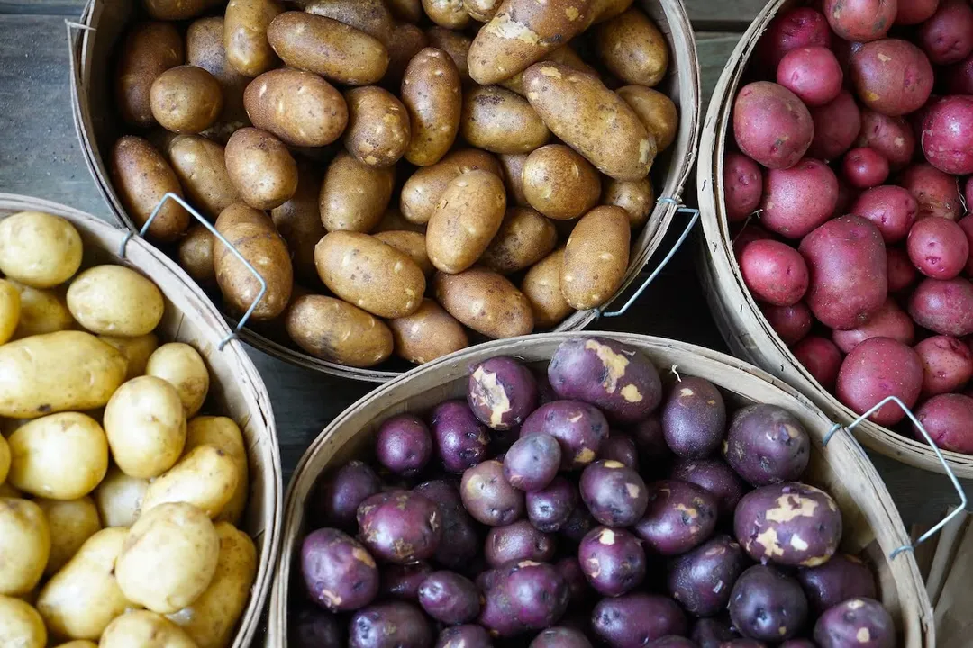 Who should not eat purple sweet potatoes?, Digestive Reaction