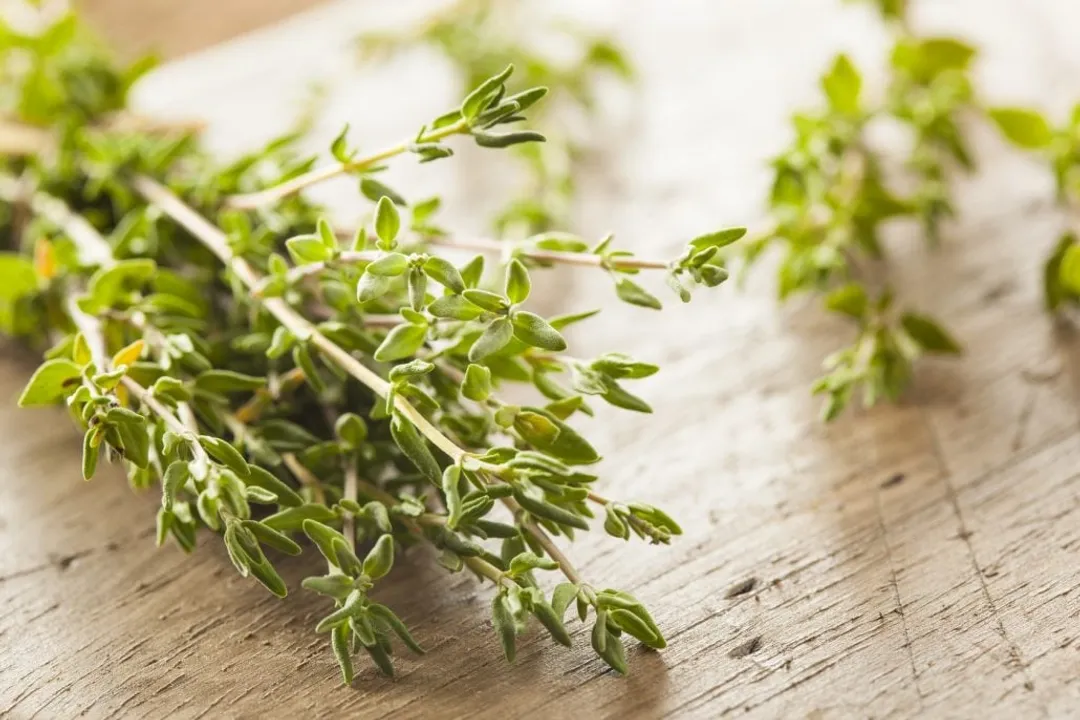 Who should not eat thyme?