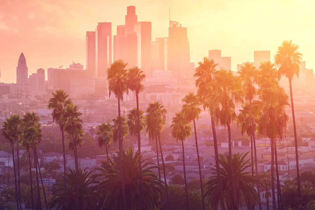 Why can't I tolerate sun?, Reaction Types