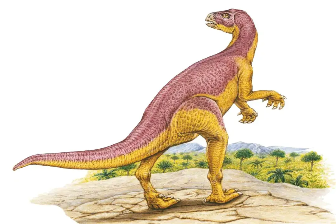 Xiaosaurus Scientific Classification