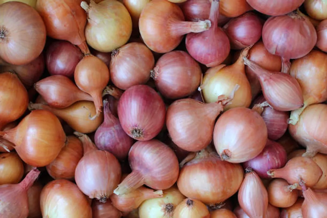 Do raw onions detox the liver?, Key Compounds