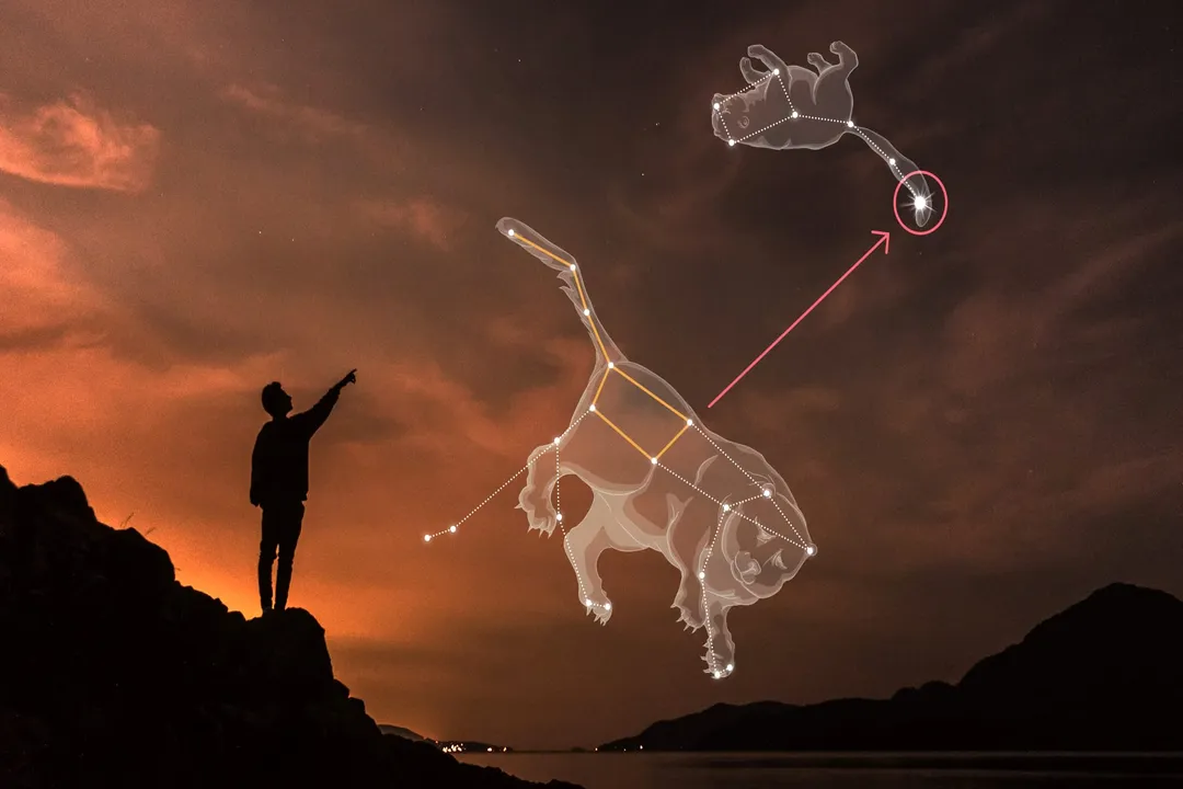 Does Orion have a bow or a club?, Visual interpretation