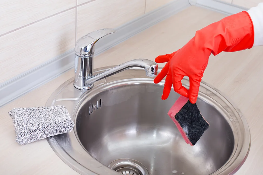 How dirty are sponges?