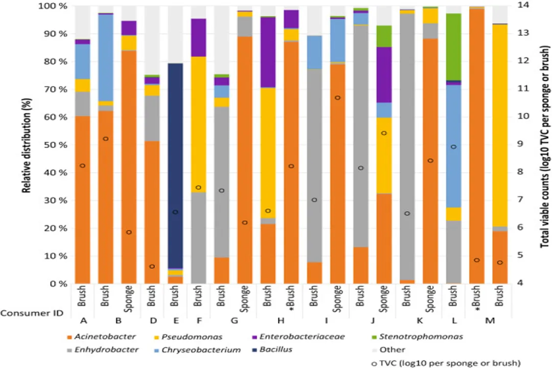 How dirty are sponges?, Microbial Cities