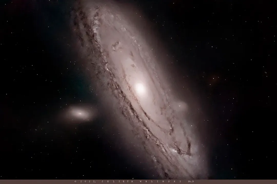 How many planets are in the Andromeda Galaxy?