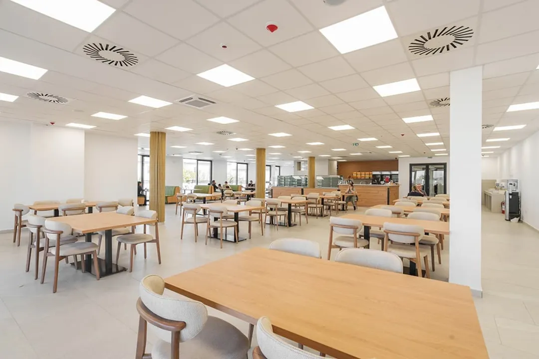 How much does stem cell therapy for autism cost in Mexico?, Pricing Variables