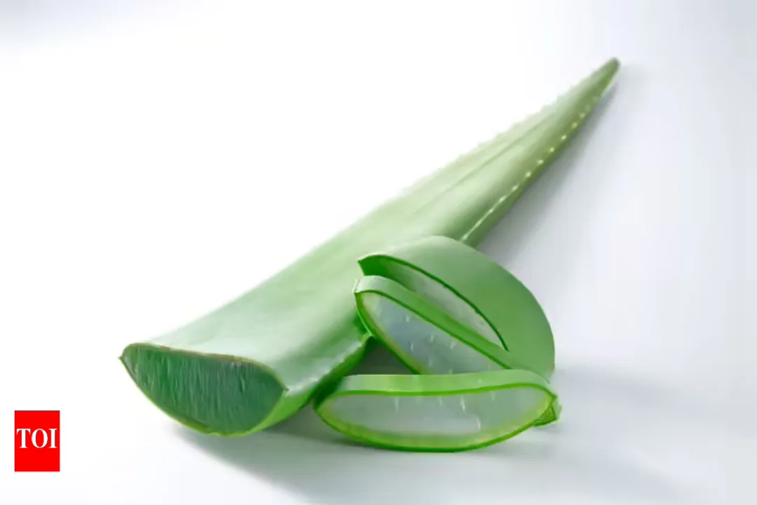 How to remove toxins from aloe vera leaf?, Removal Steps