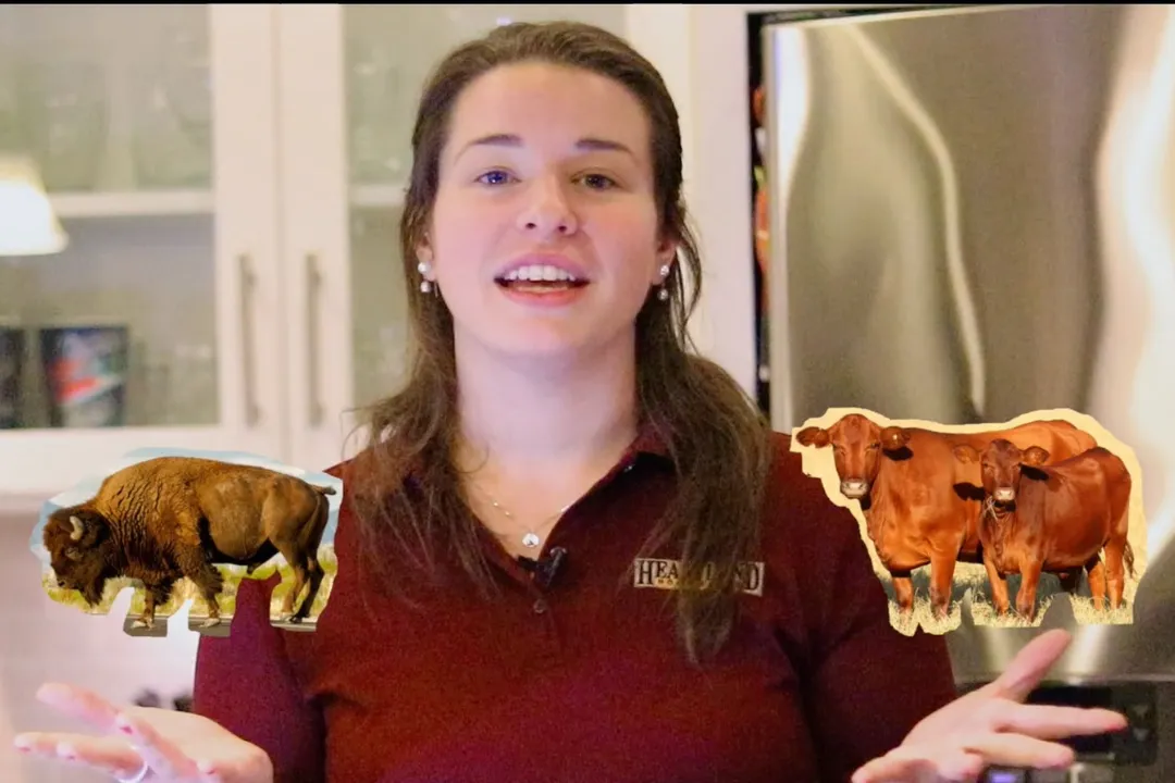 Is beefalo good for you?