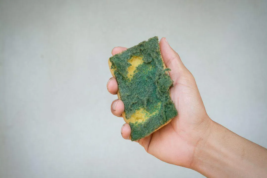 Is sponge dirtier than toilet?, Sanitation Limits