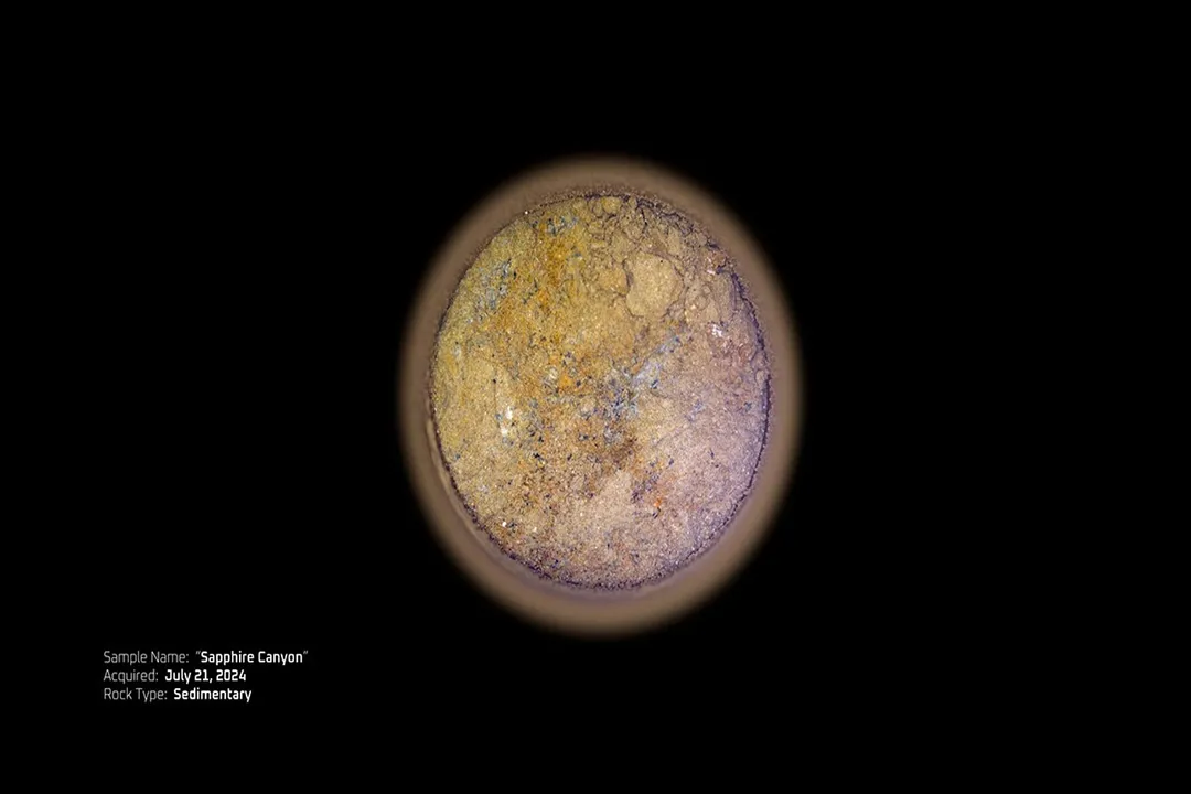 What are the potential signs of life on Mars?, The Discovery