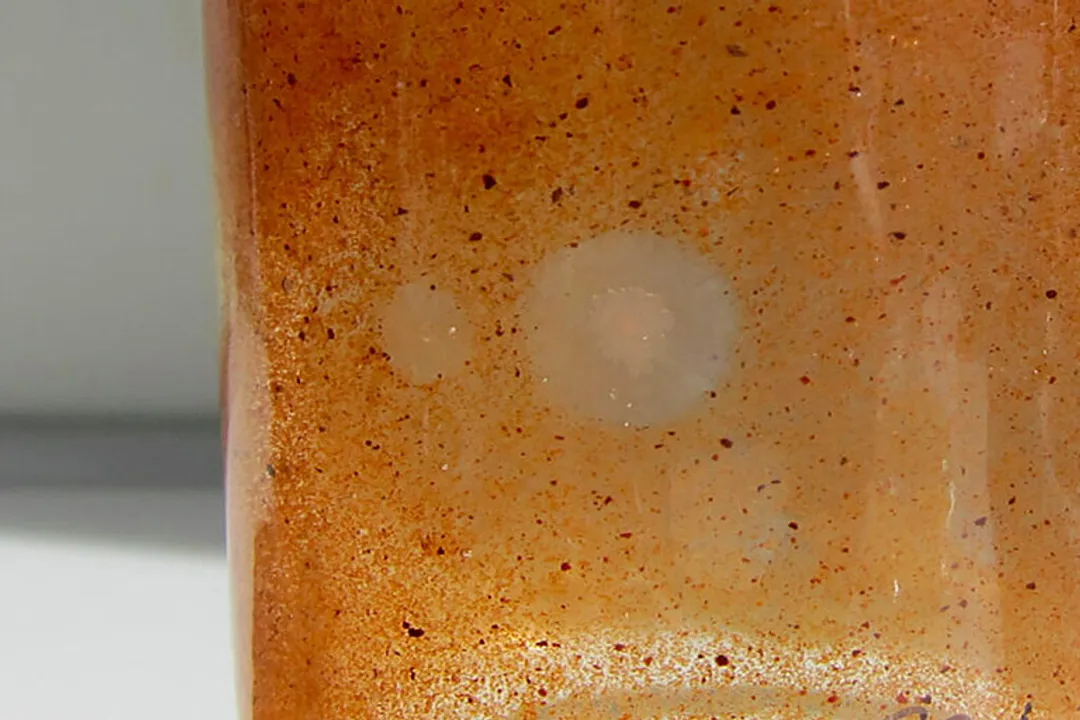 What are the potential signs of life on Mars?, The Evidence