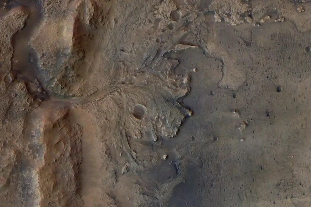 What are the potential signs of life on Mars?, Scientific Caution