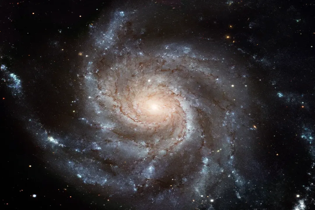 What causes the bar to form in a spiral galaxy?, Disk Instability