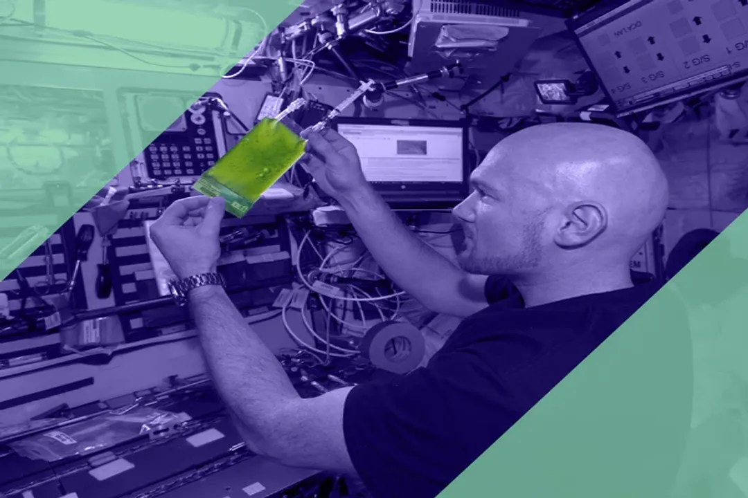 What happens when astronauts eat spirulina powder?, Space Nutrition