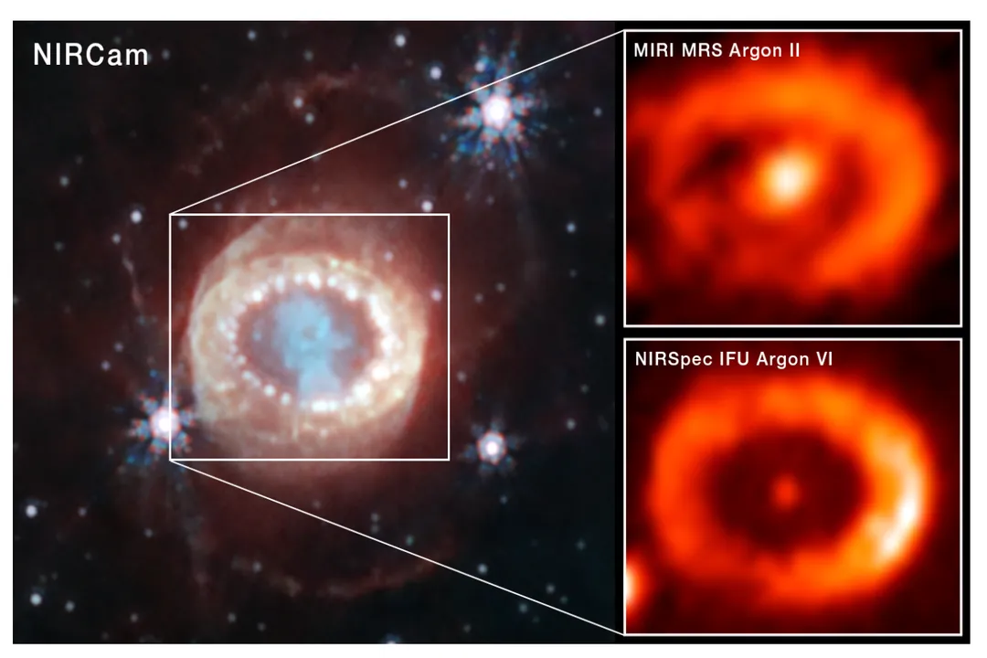 What is a theoretical stellar remnant?