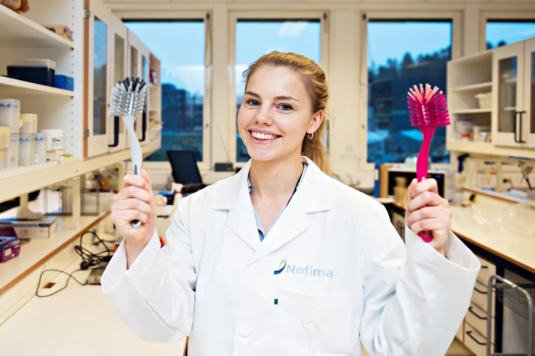 What is more hygienic than a sponge?, The Flaw