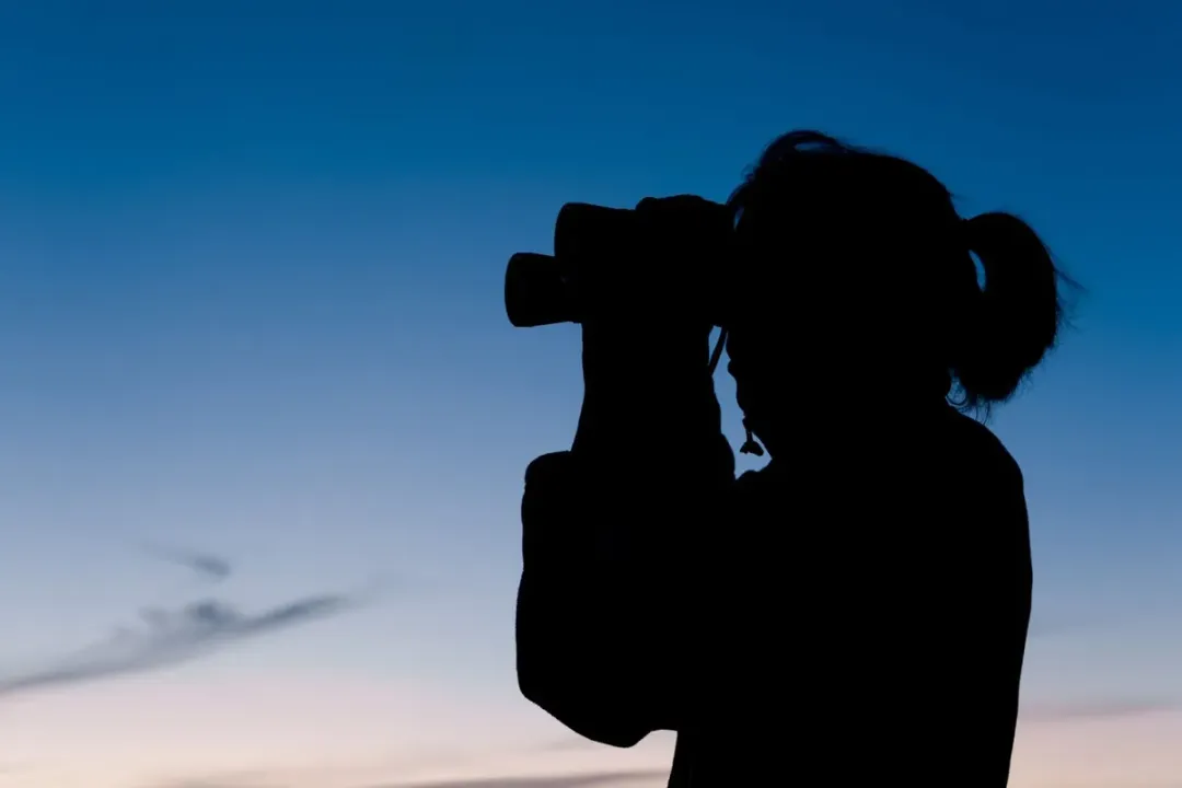 What is the color of a star?, Human Vision