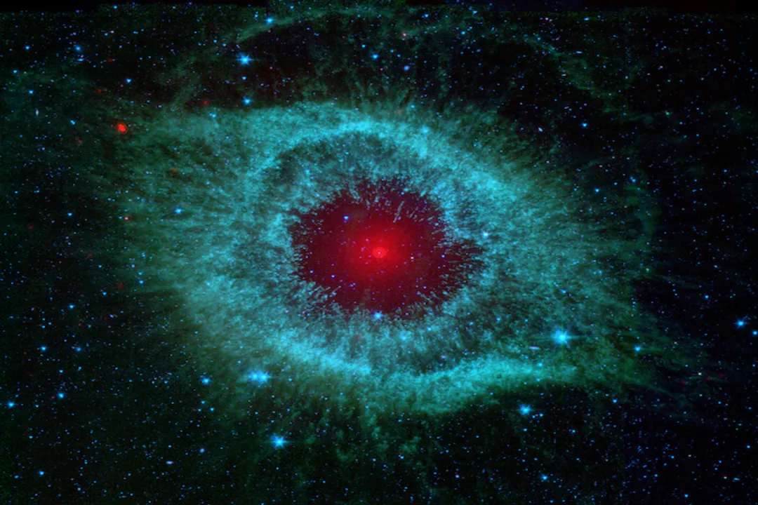 What is the correct order for stellar evolution?, Main Sequence