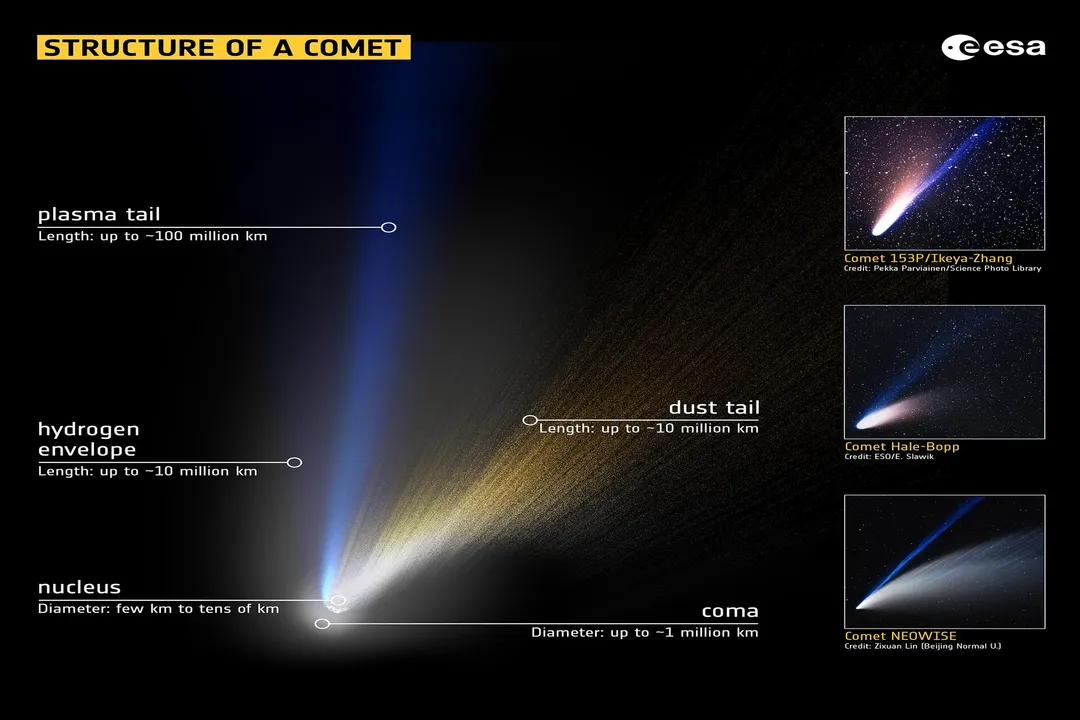What is the dust tail of a comet made up of?, Dust Composition
