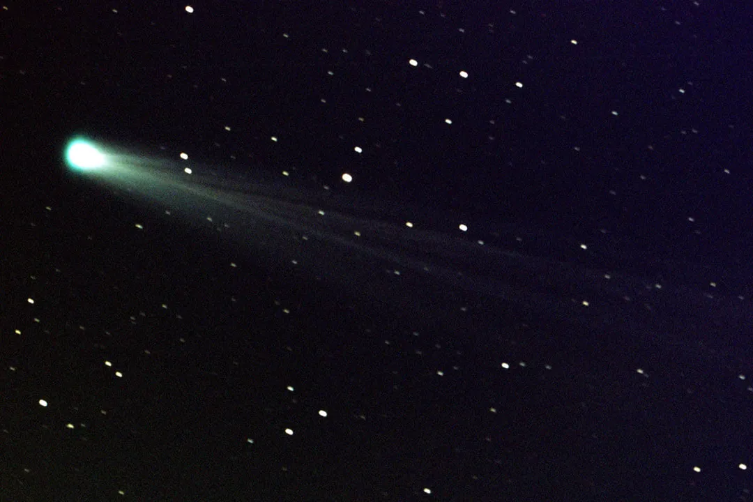 What is the dust tail of a comet made up of?, Tail Comparisons