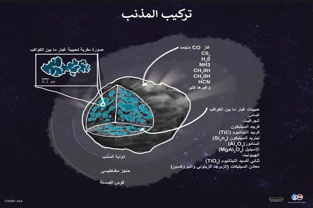 What is the dust tail of a comet made up of?