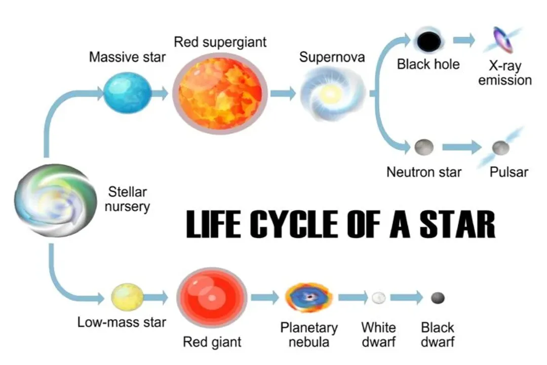 What is the life cycle of a star for kids?, Aging Stars