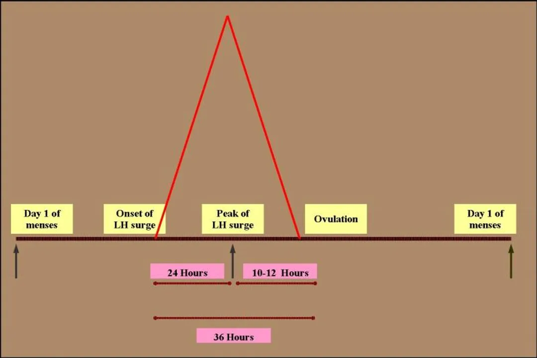 What is the normal period cycle day?