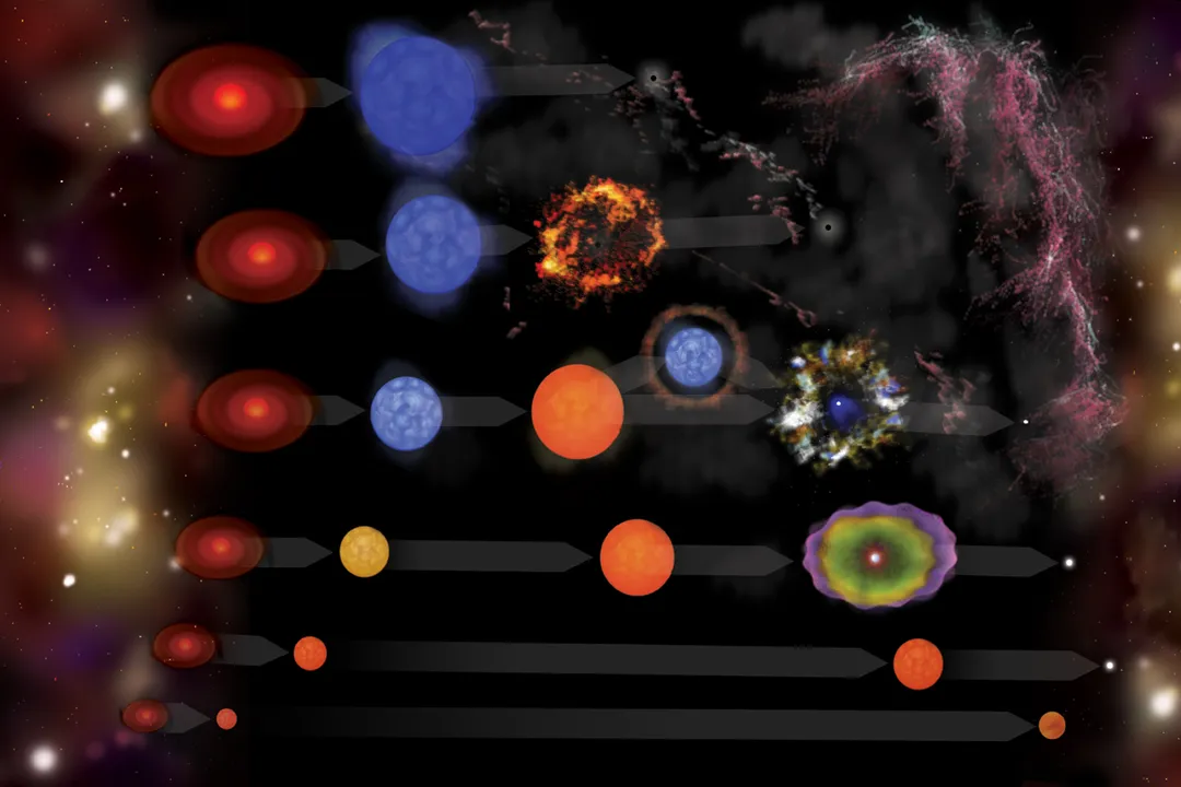 What is the stellar evolution?