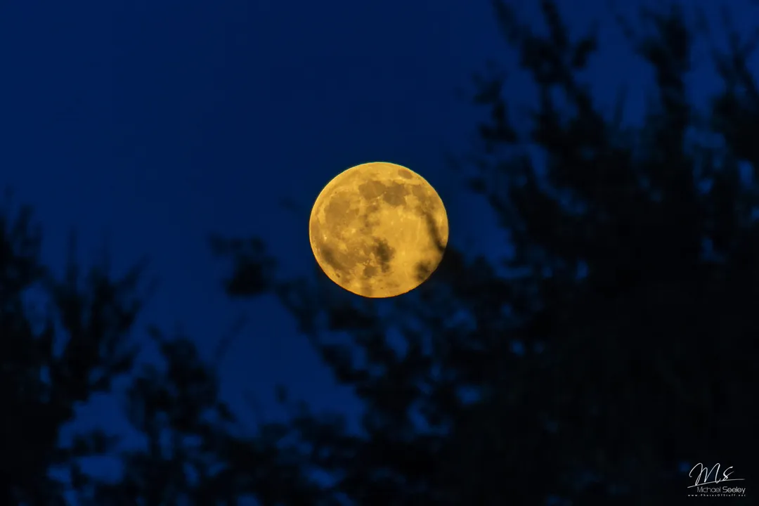 What will be the next full moon?