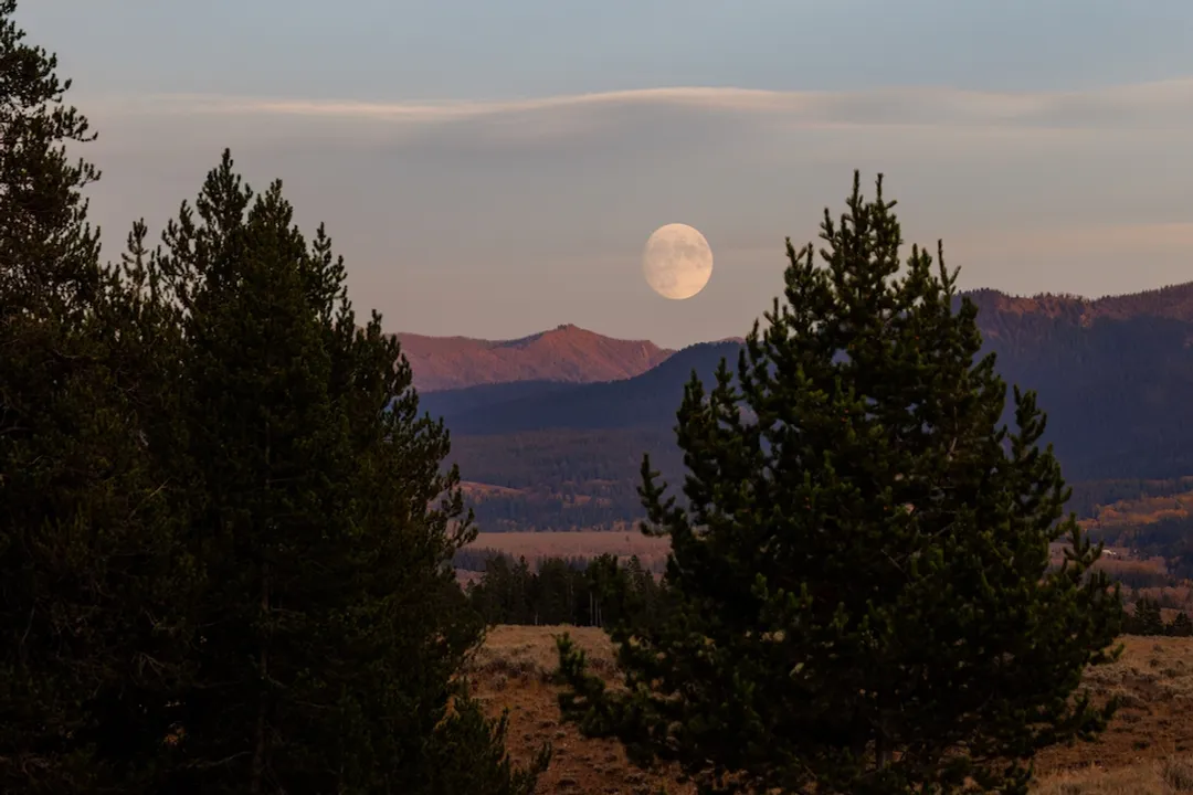What will be the next full moon?, Observation Tips