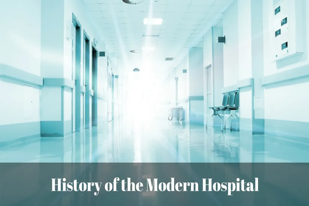 Who invented the modern hospital system?, Ancient Origins