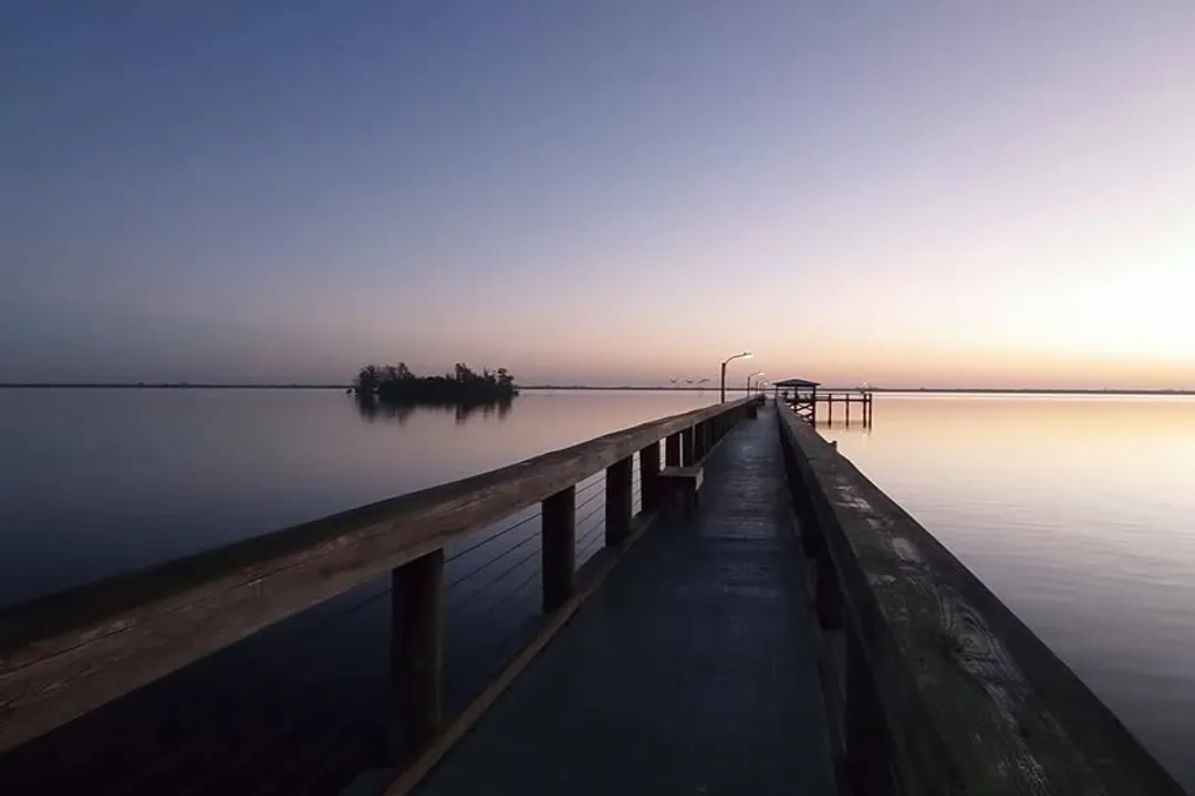 Why am I only finding dead roaches?, Treatment success