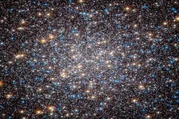 Can life exist in globular clusters?