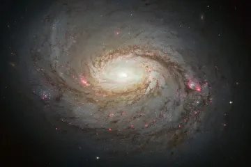 Do spiral galaxies have star formation?