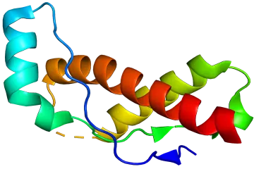 How do prions cause disease?