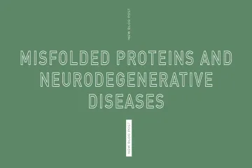 What causes protein misfolding diseases?