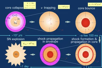 What is the theory of core collapse supernovae?