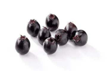 Health Benefits of Saskatoon berry