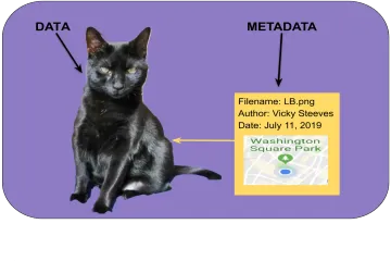 How do you work in research data management?