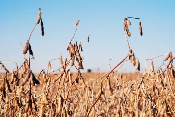 What Agriculture Careers Involve Agribusiness?