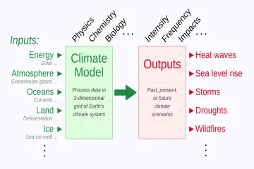 What roles exist in climate modeling?