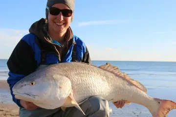 Is drum fish healthy?