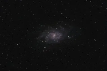 What are the three major galaxies that make up the Local Group?